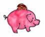 Wicoschwein1