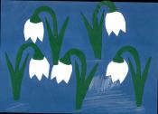 Schneegl�ckchen